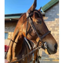 Acavallo Sensitive Bit -Farm housse grey bit9 66628.1587749856.1280.1280