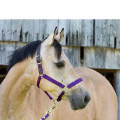 Perri's Premium Nylon Safety Halter -Farm housse halter2 94567.1588257175.1280.1280