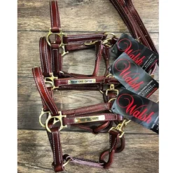 Walsh Showman Pony Halter -Farm housse halter2 fa638c65 9196 4b83 b725 af4a0ee4a7d0