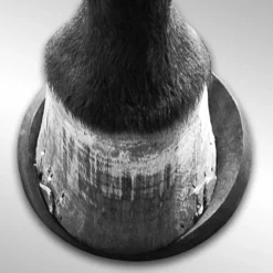 EquiFit HoofSavers -Farm housse hoof3 60607.1589931201.1280.1280