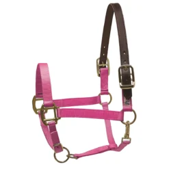 Perri's Premium Nylon Safety Halter -Farm housse hot pink 73719.1588257173.1280.1280