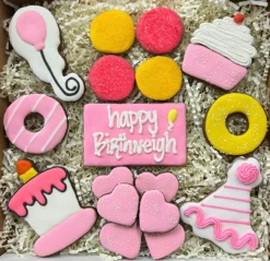 Snaks 5th Avenchew Birthday Girl SnakBox