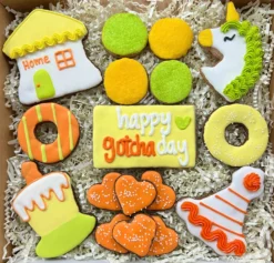 Snaks 5th Avenchew Gotcha Day Snakbox