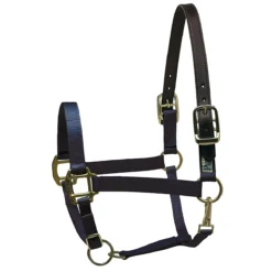 Perri's Premium Nylon Safety Halter -Farm housse navy 34737.1588257173.1280.1280