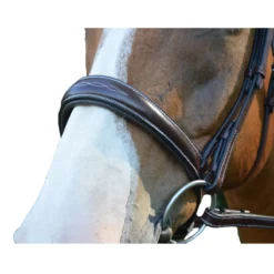 Red Barn By KL Select Ocala Hunter Bridle -Farm housse ocala2 47920.1584458377.1280.1280 e4922dcd 7594 4691 9711 1ff0d5b2b9ca