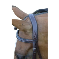 Red Barn By KL Select Ocala Hunter Bridle -Farm housse ocala3 23106.1584458377.1280.1280 19efba36 6eb1 45c4 b6a0 c0641cc061bd