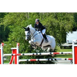 Ogilvy Jump Friction Free Pad -Farm housse pad3