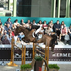 Ogilvy Jump Friction Free Pad -Farm housse pad4