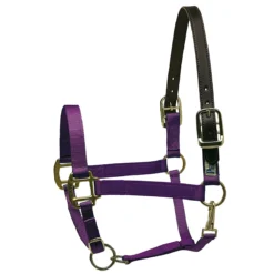 Perri's Premium Nylon Safety Halter -Farm housse purple 30426.1588257175.1280.1280