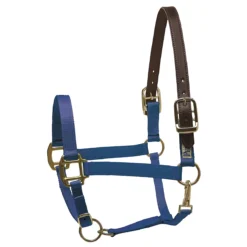 Perri's Premium Nylon Safety Halter -Farm housse royal bllue 76627.1588257174.1280.1280