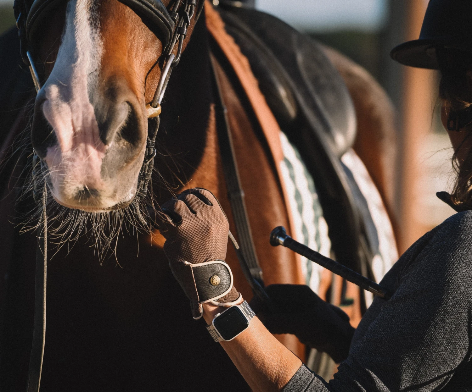 Sixteen Cypress Riding Gloves, Black Mesh 4 Sixteen Cypress Riding Gloves, Black Mesh - Image 2