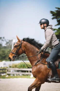 Sixteen Cypress Sound Softening Ear Net -Camel -Farm housse sixteen cypress equestrian ear net fly bonnetes 20253