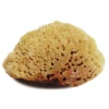 Natural Tack Sponge Large 1 Natural Tack Sponge Large -Farm housse sponge 00274.1585892869.1280.1280