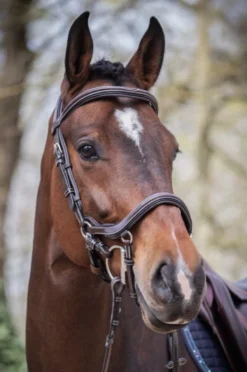 Jump'in Summer Bridle - Week Collection