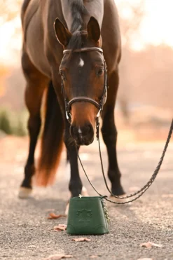 Tucker Tweed The Shetland -Farm housse tucker tweed equestrian the shetland large and small 44767926452388 1bde36da d34f 4e47 aee8 5951539e353b scaled